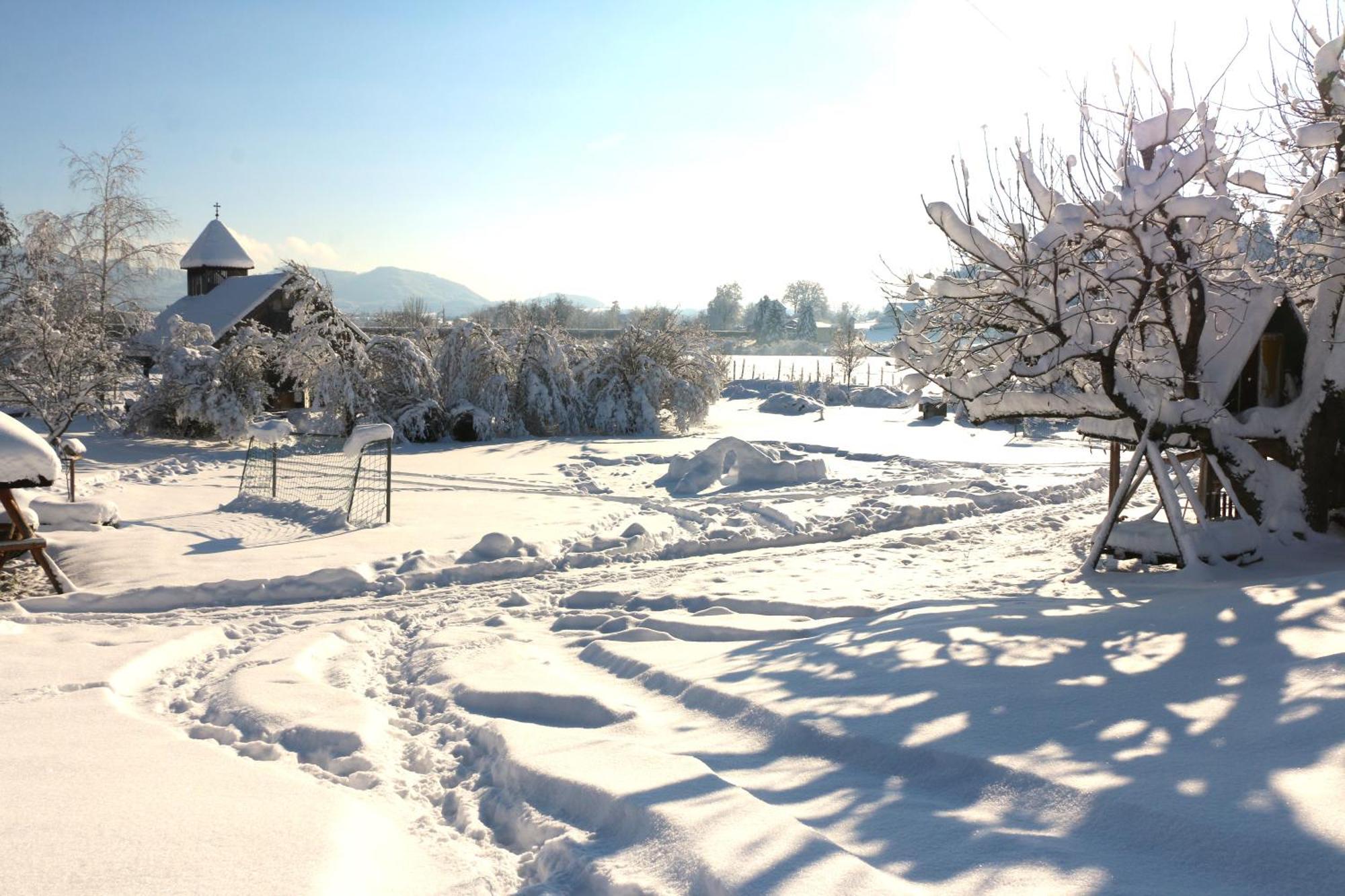 Bio Archehof Zachhiesen - Stay & Relax Seekirchen am Wallersee Zewnętrze zdjęcie