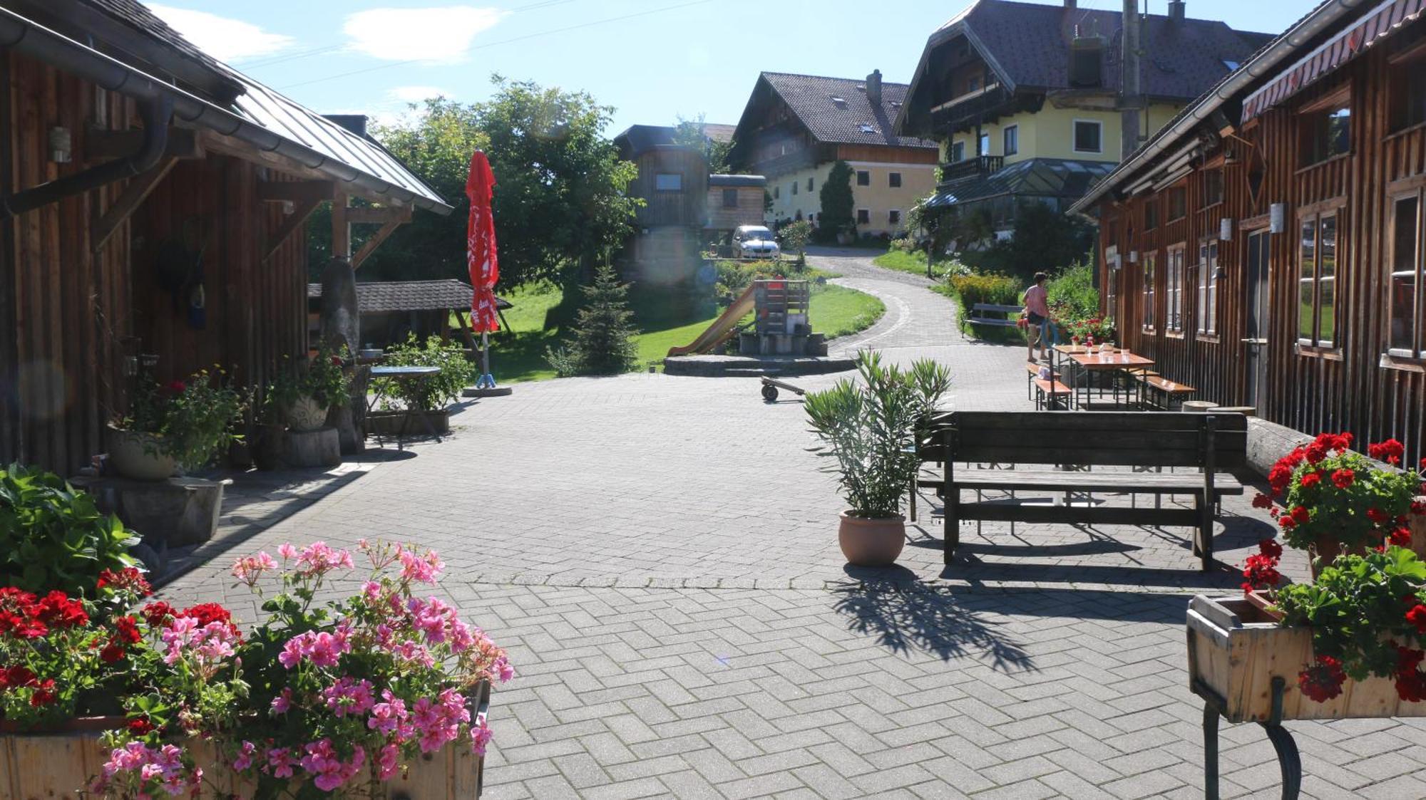 Bio Archehof Zachhiesen - Stay & Relax Seekirchen am Wallersee Zewnętrze zdjęcie